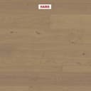 PARKETT HARO 4000 Plank Plaza Oak sand grey sauvage  thumbnail 2