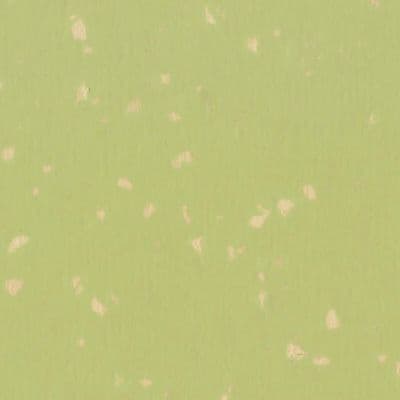 KUMMIKATE Grain HG516