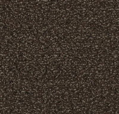 PORIVAIP Coral Classic 4784 coffee