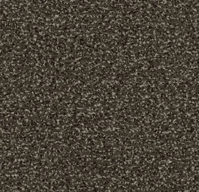 PORIVAIP Coral Classic 4794 taupe