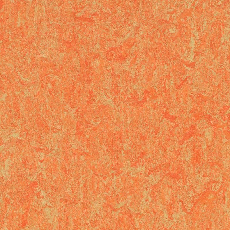 LINOLEUM Linoflex 538
