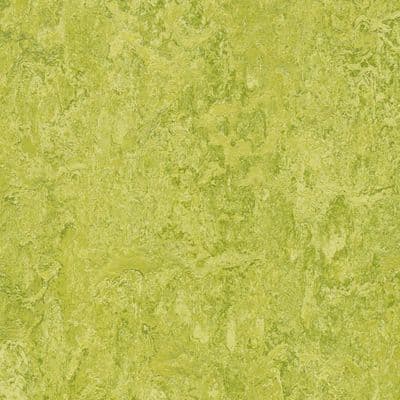 LINOLEUM Marmoleum Decibel chartreuse 322435