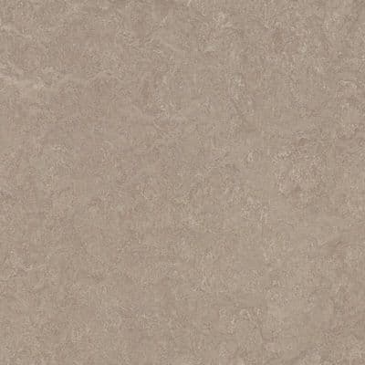 LINOLEUM Marmoleum Decibel sparrow 325235
