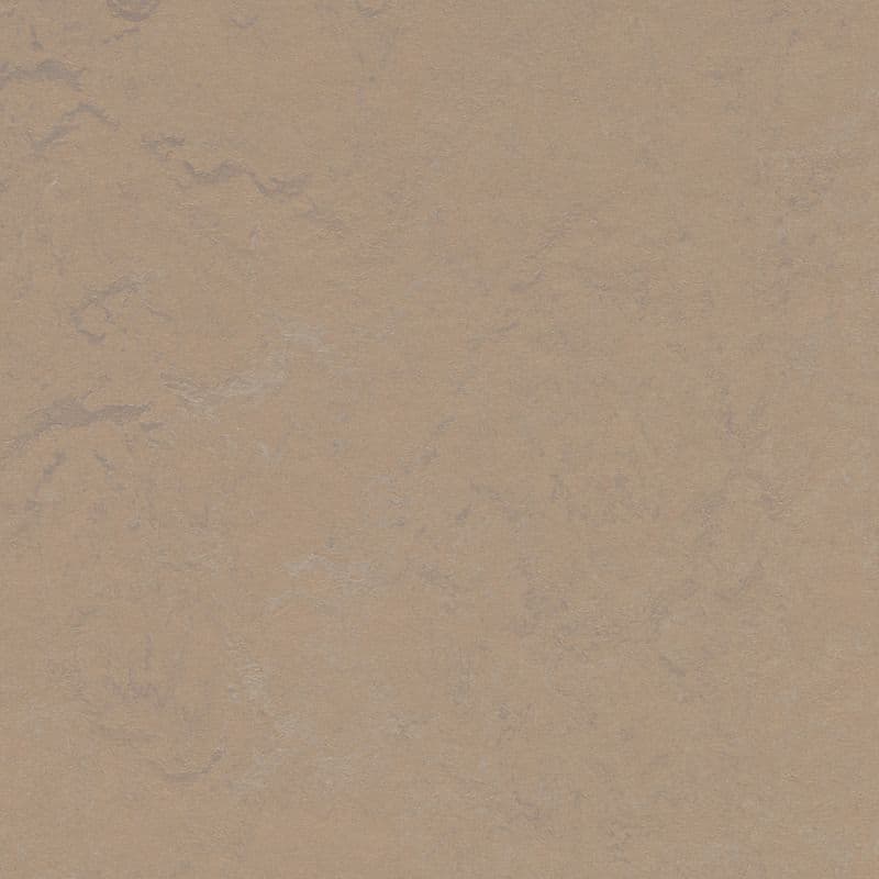 LINOLEUM Marmoleum Solid Concrete drift 3727