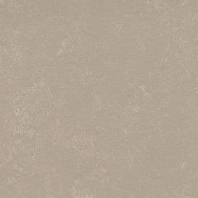 LINOLEUM Marmoleum Solid Concrete fossil 3708