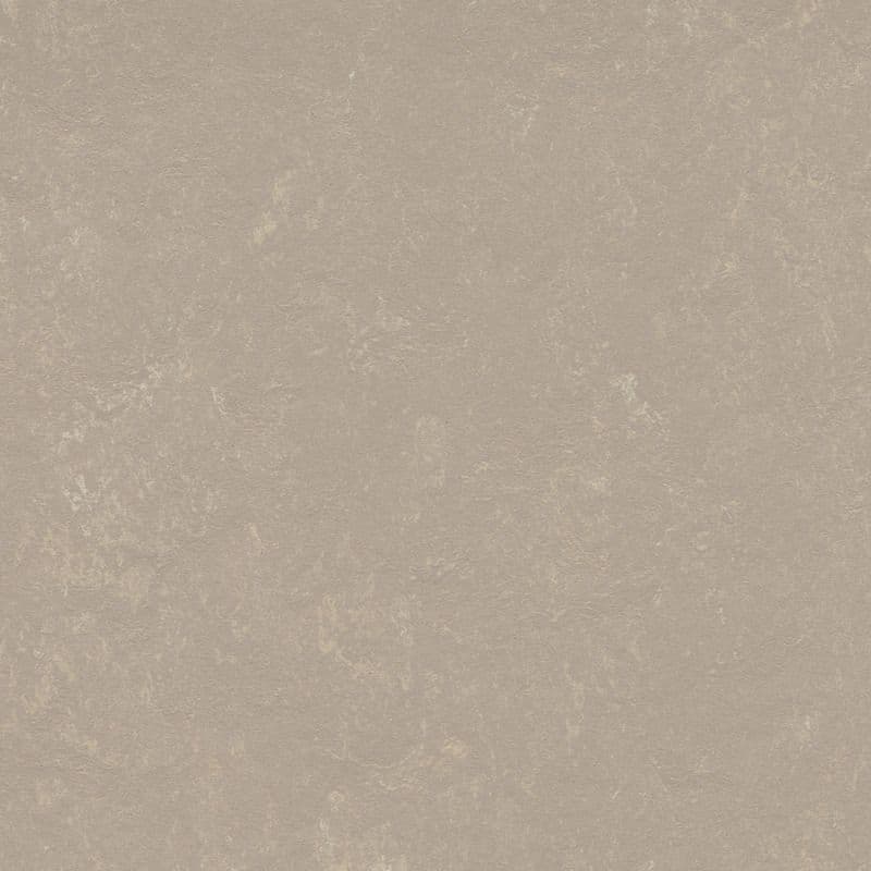 LINOLEUM Marmoleum Solid Concrete fossil 3708