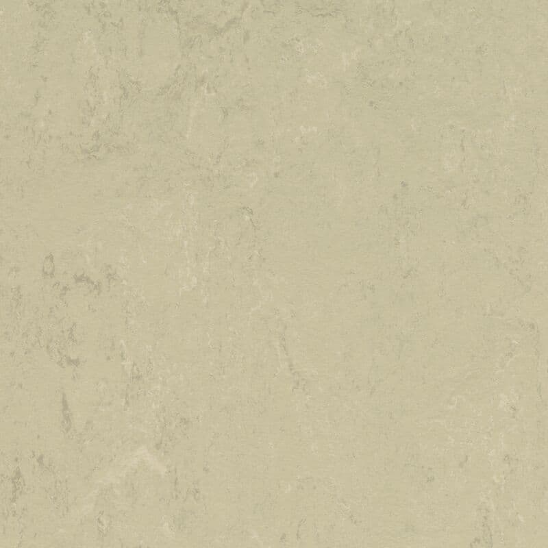 LINOLEUM Marmoleum Solid Concrete titan 3761