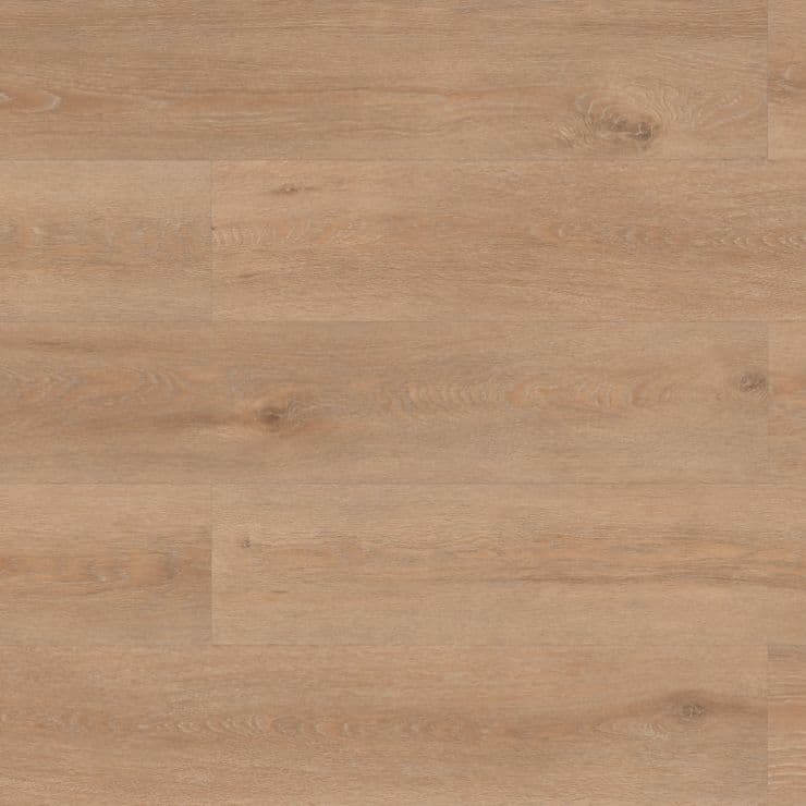 LVT-PLAAT Cosmos Glue Down 55 riga oak 60002361
