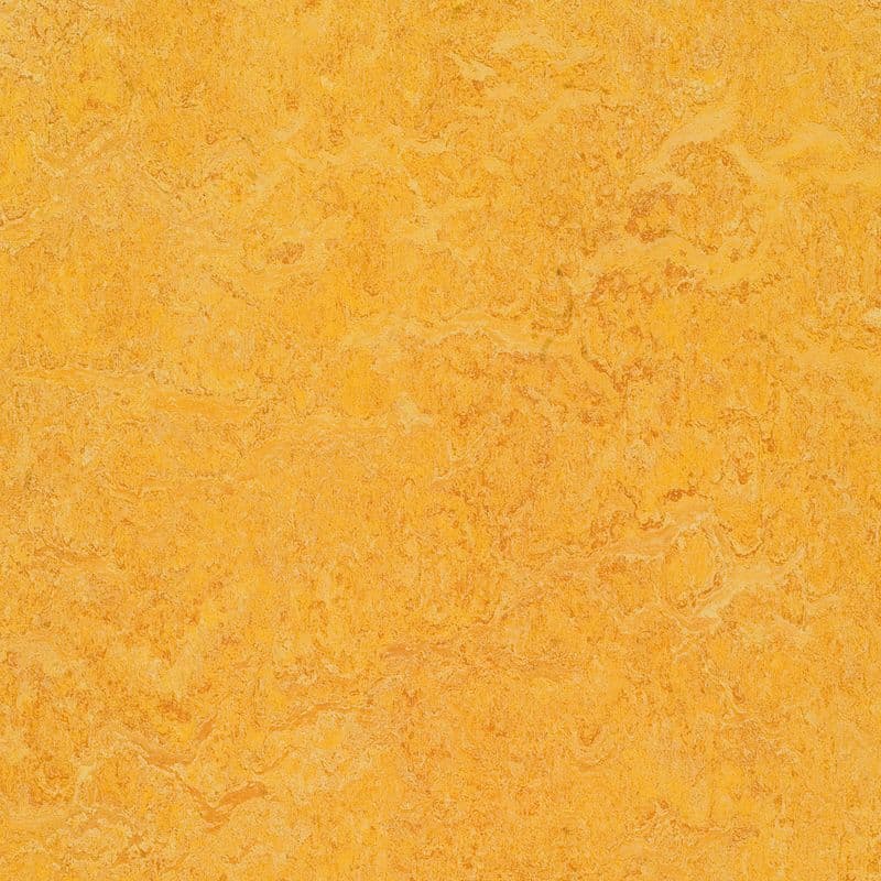 LINOLEUM Marmoleum Decibel dandelion 322535