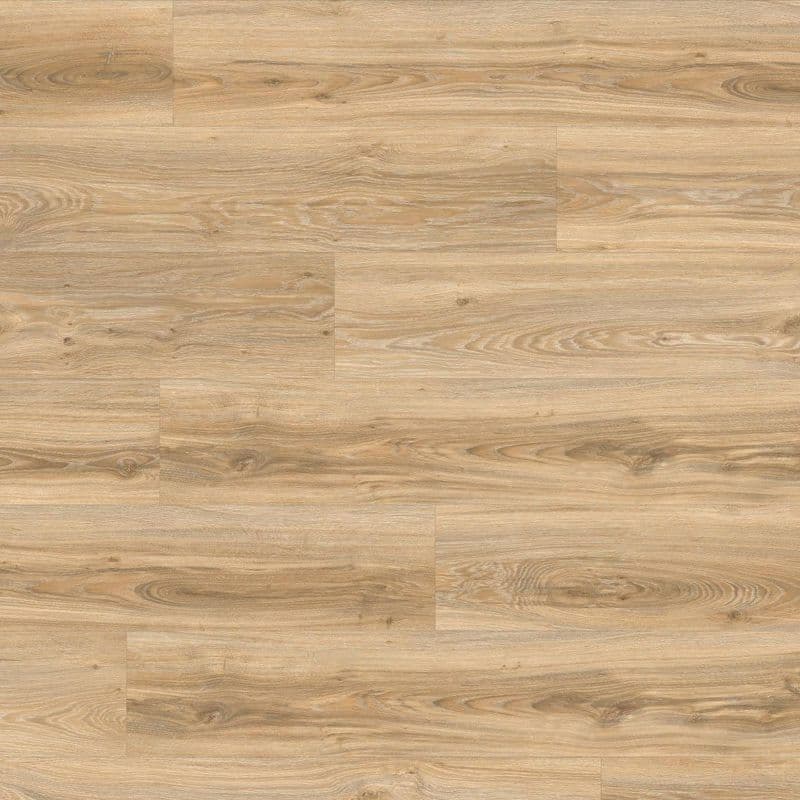 LVT-PLAAT Moduleo 55 Roots blackjack oak 22220