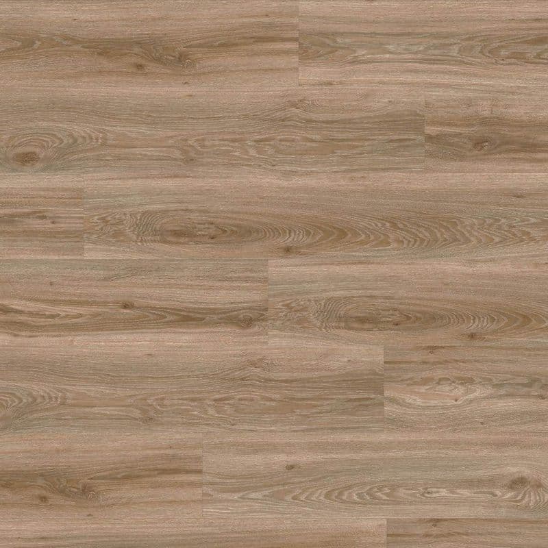 LVT-PLAAT Moduleo 55 Roots blackjack oak 22229